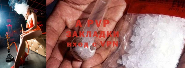 ПСИЛОЦИБИНОВЫЕ ГРИБЫ Белокуриха