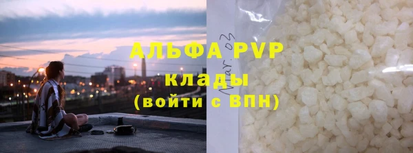 ПСИЛОЦИБИНОВЫЕ ГРИБЫ Белокуриха
