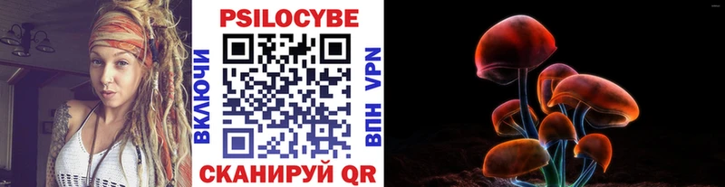Псилоцибиновые грибы Psilocybine cubensis хочу Красавино